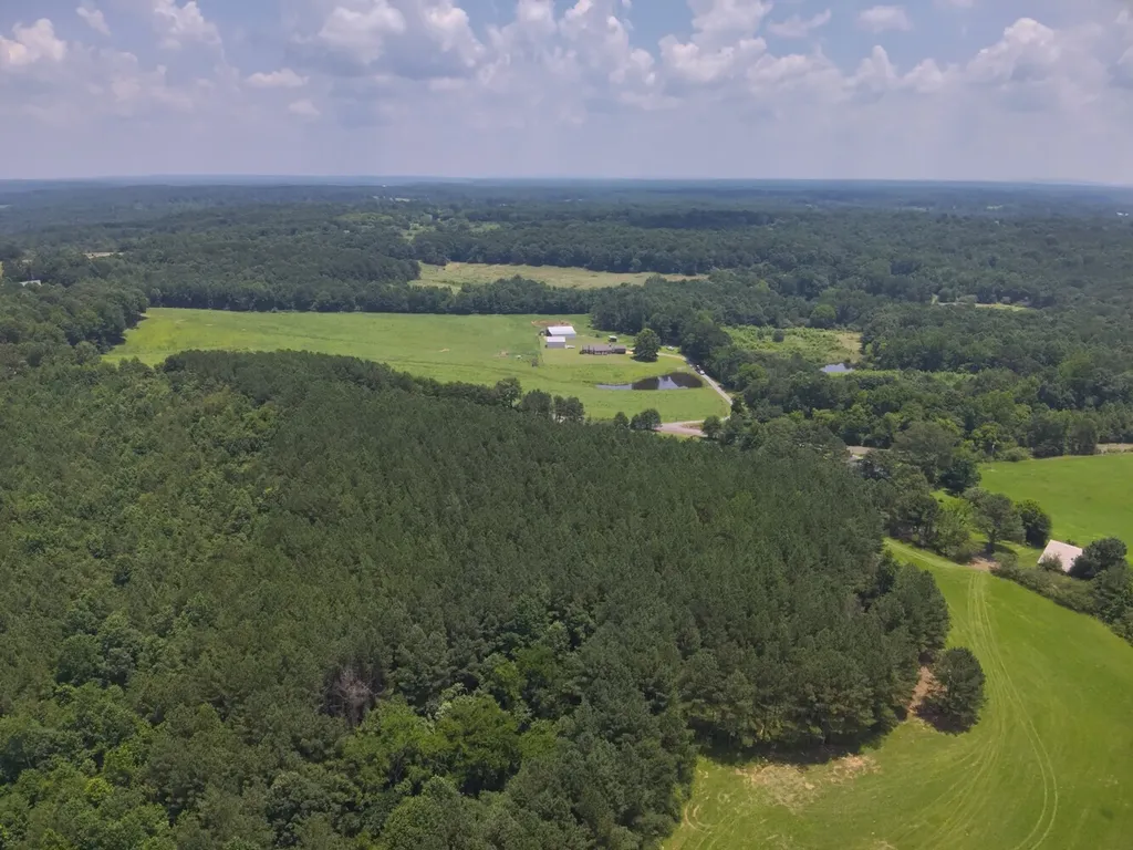 0 Co Road 97 Crane Hill AL 35033