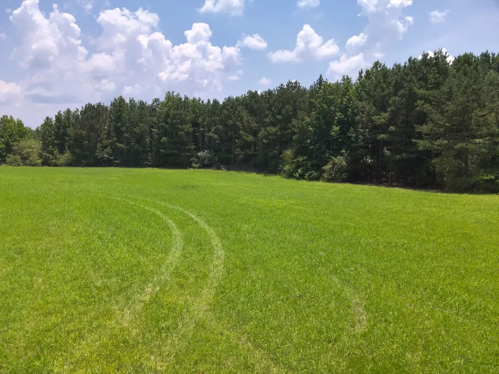 0 Co Road 97 Crane Hill AL 35033