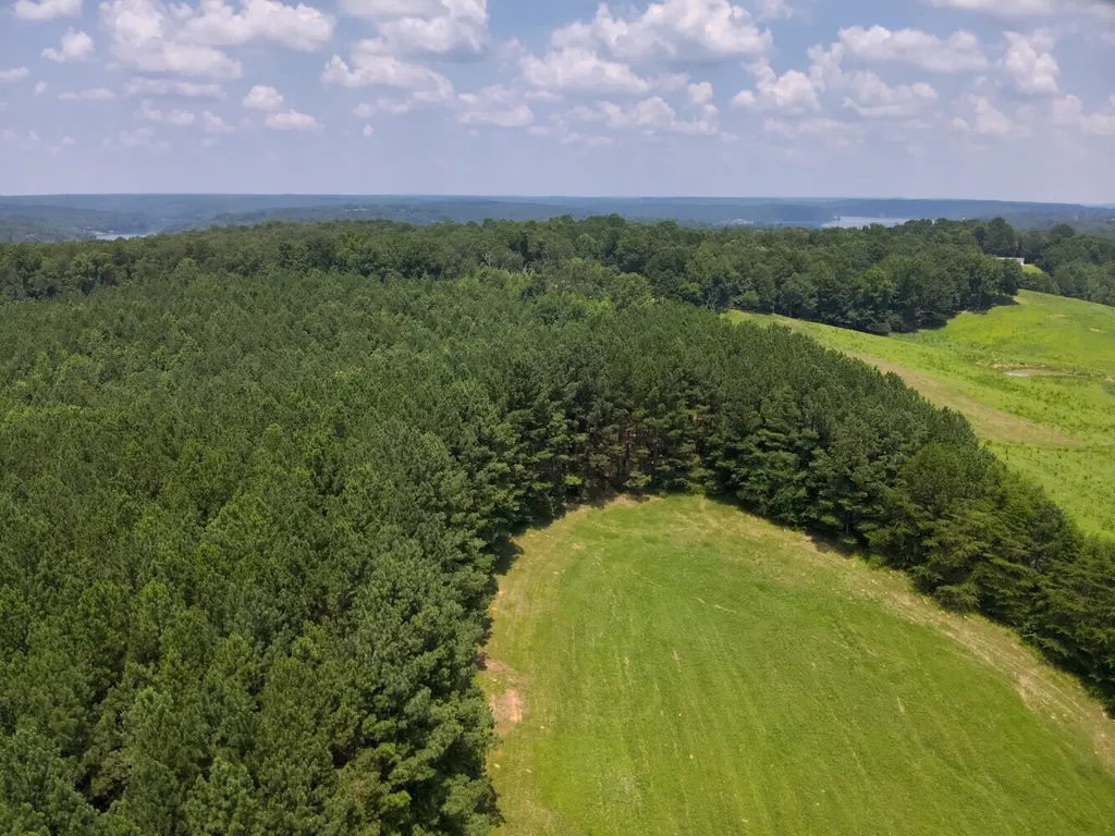 0 Co Road 97 Crane Hill AL 35033