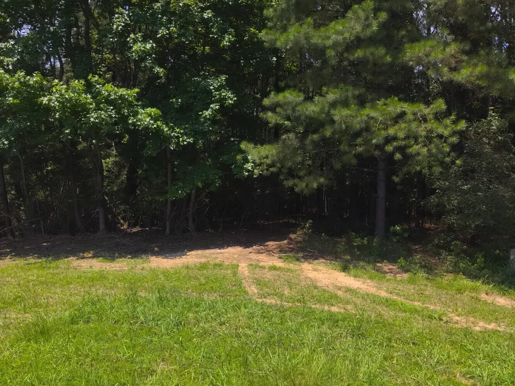 0 Co Road 97 Crane Hill AL 35033
