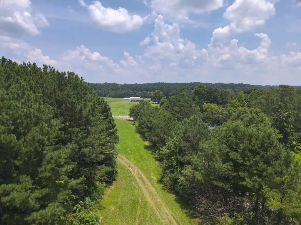 0 Co Road 97 Crane Hill AL 35033