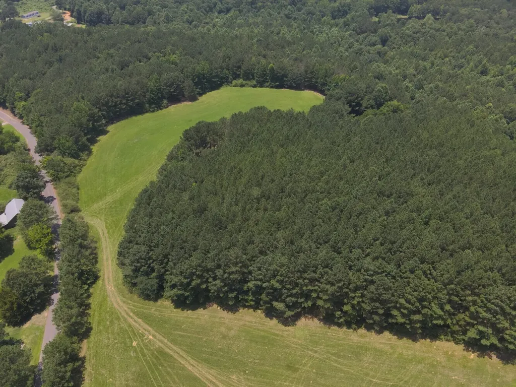 0 Co Road 97 Crane Hill AL 35033