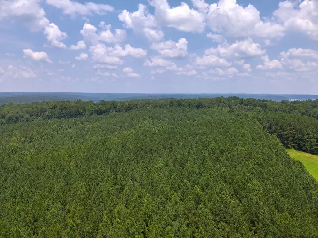 0 County Road 101 Crane Hill AL 35033