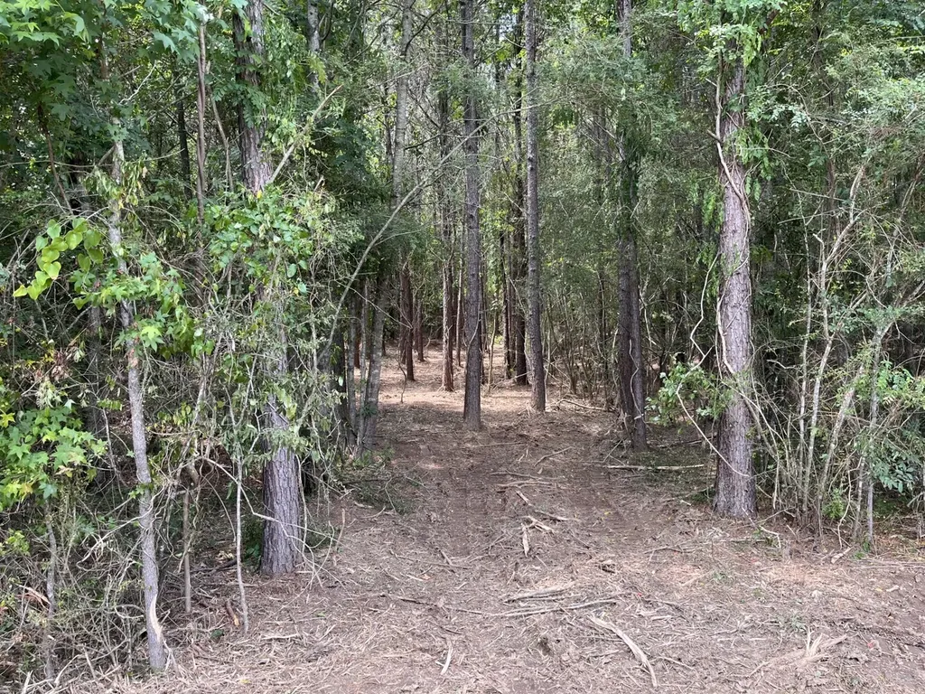 0 County Road 101 Crane Hill AL 35033