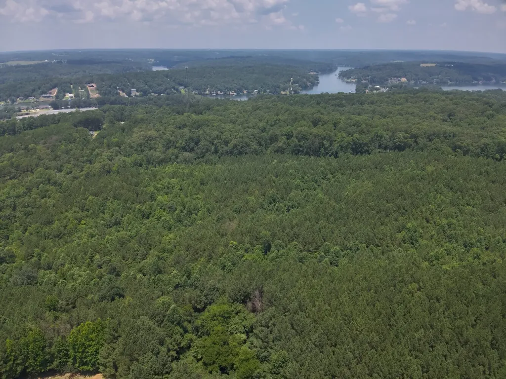 0 County Road 101 Crane Hill AL 35033
