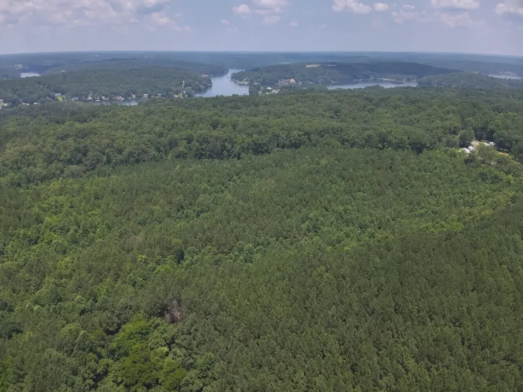 0 County Road 101 Crane Hill AL 35033