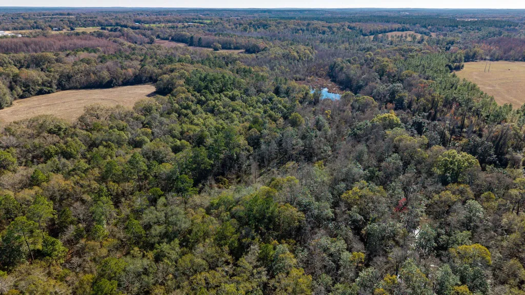 0 Cuthriell Road Samson AL 36477