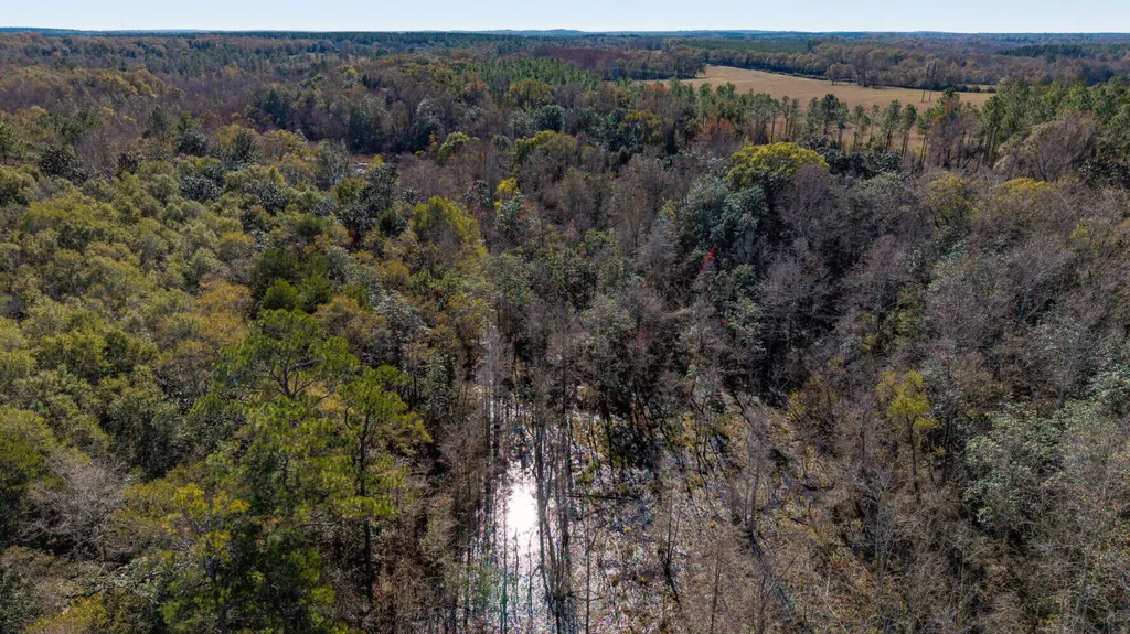 0 Cuthriell Road Samson AL 36477