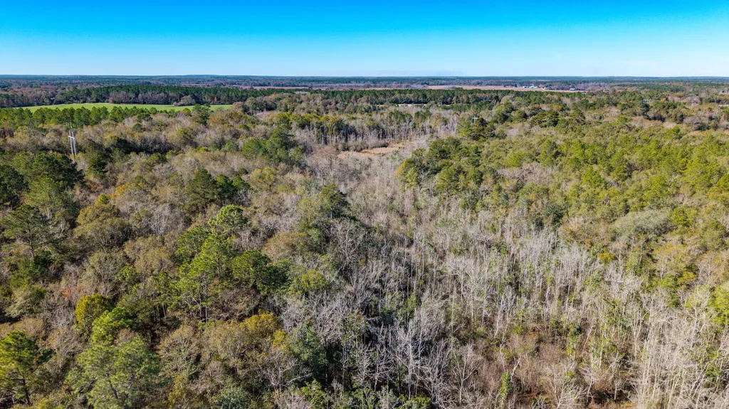 0 Cuthriell Road Samson AL 36477