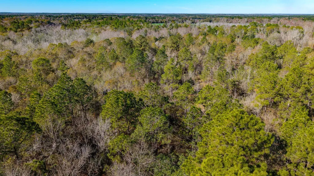 0 Cuthriell Road Samson AL 36477