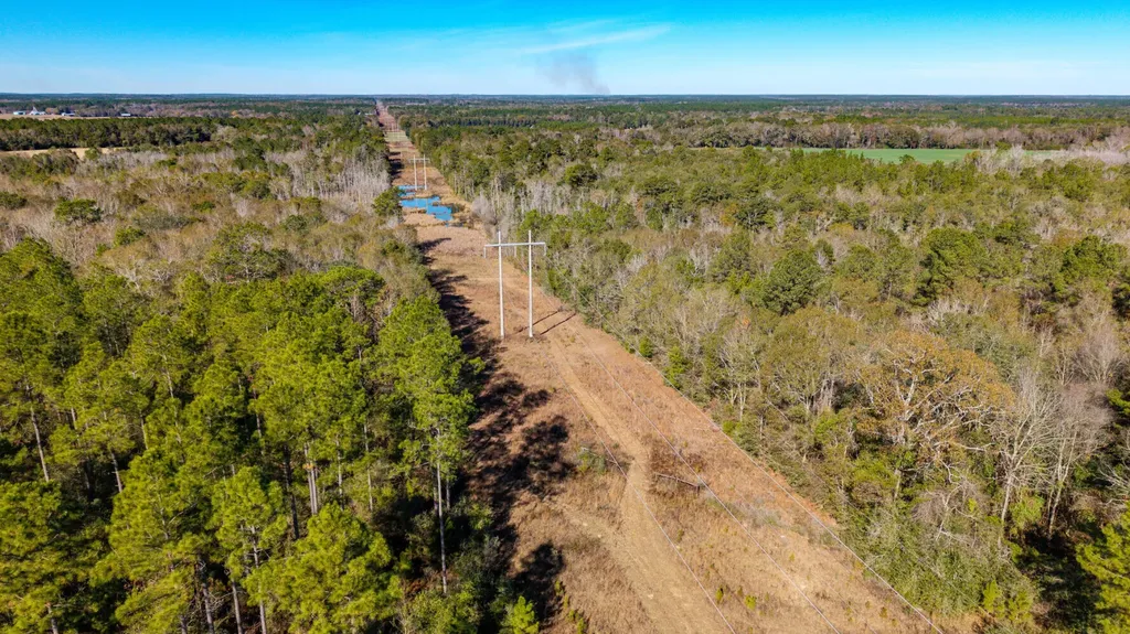 0 Cuthriell Road Samson AL 36477