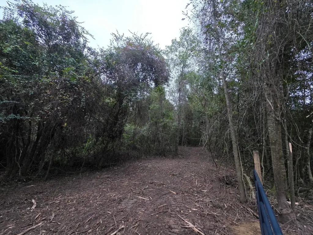 0 Cuthriell Road Samson AL 36477