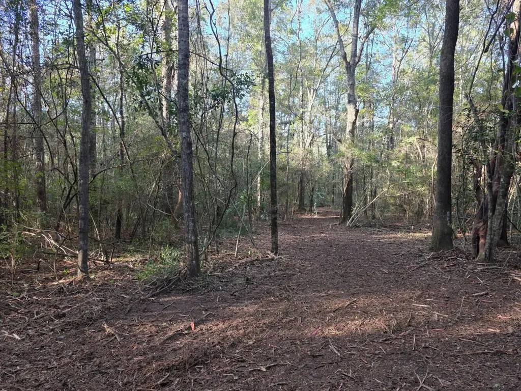 0 Cuthriell Road Samson AL 36477