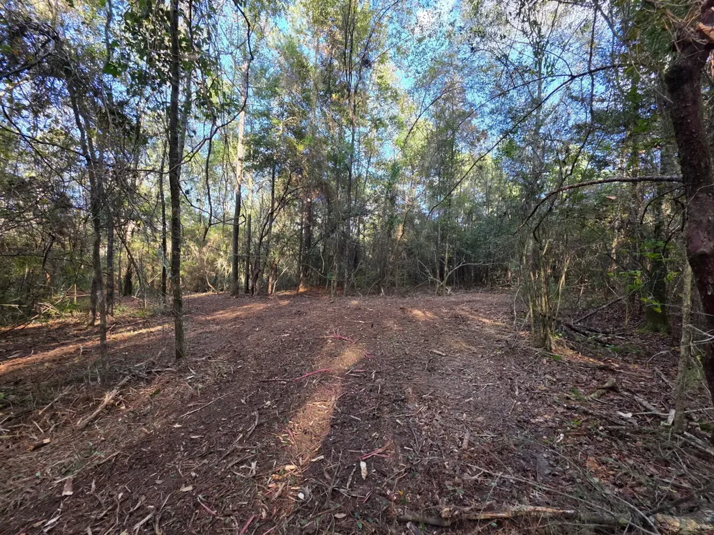 0 Cuthriell Road Samson AL 36477