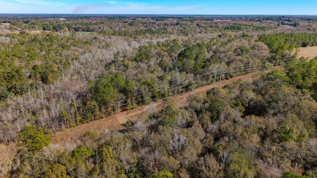 0 Cuthriell Road Samson AL 36477