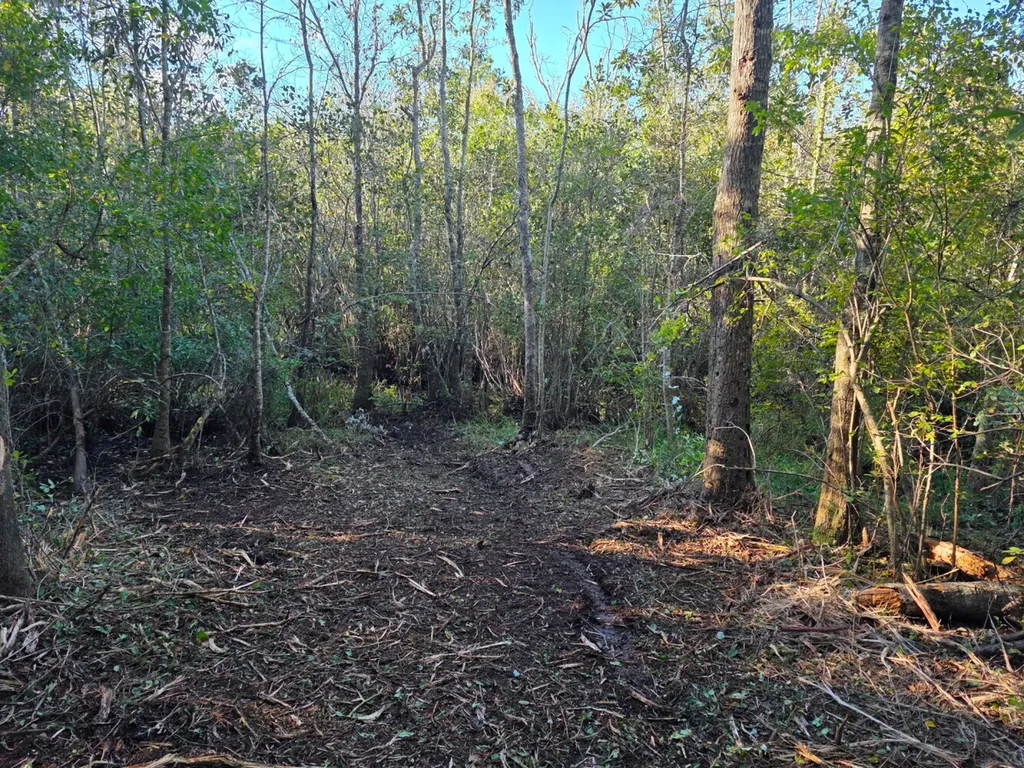 0 Cuthriell Road Samson AL 36477