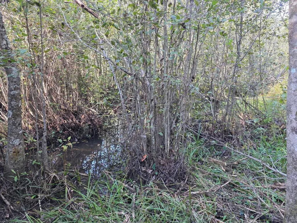 0 Cuthriell Road Samson AL 36477