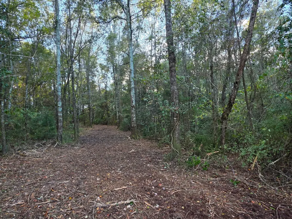 0 Cuthriell Road Samson AL 36477