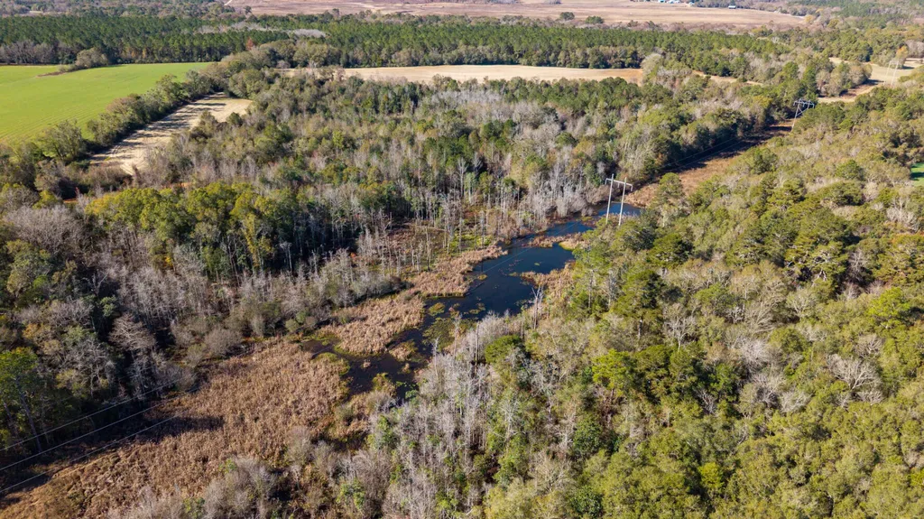 0 Cuthriell Road Samson AL 36477