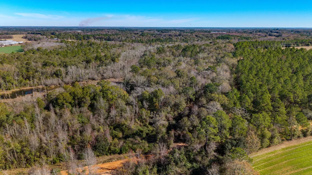 0 Cuthriell Road Samson AL 36477