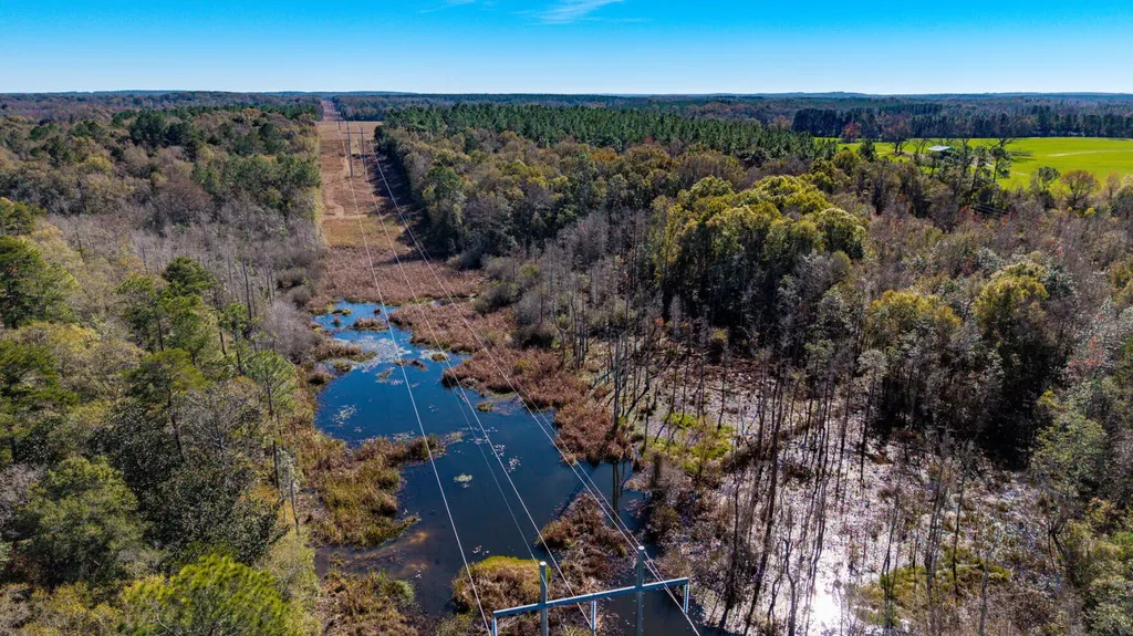 0 Cuthriell Road Samson AL 36477