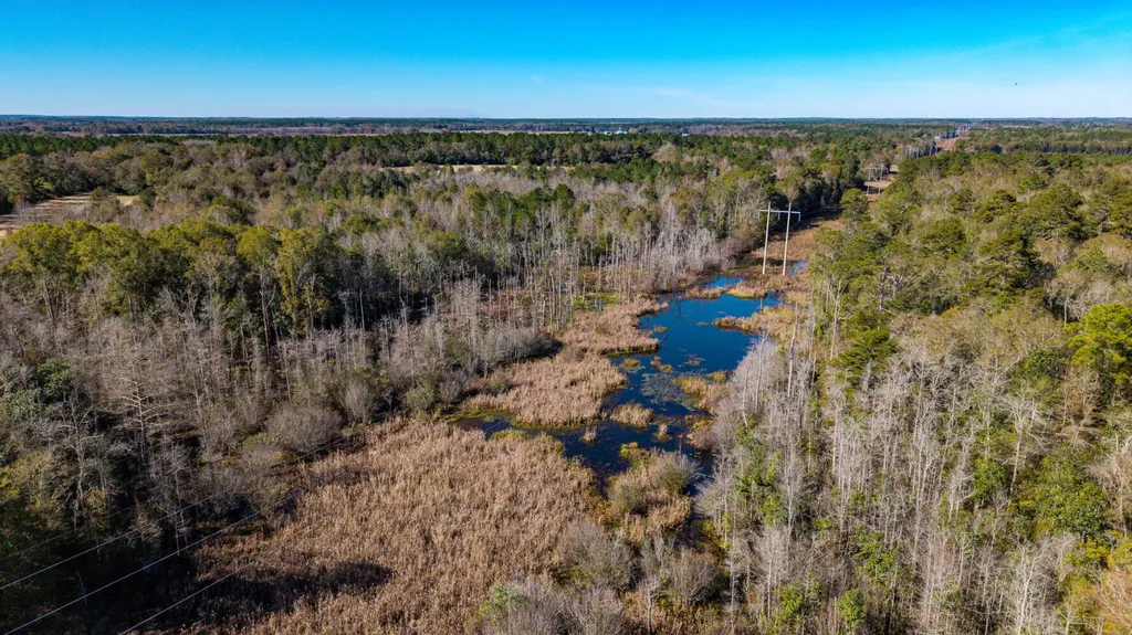 0 Cuthriell Road Samson AL 36477
