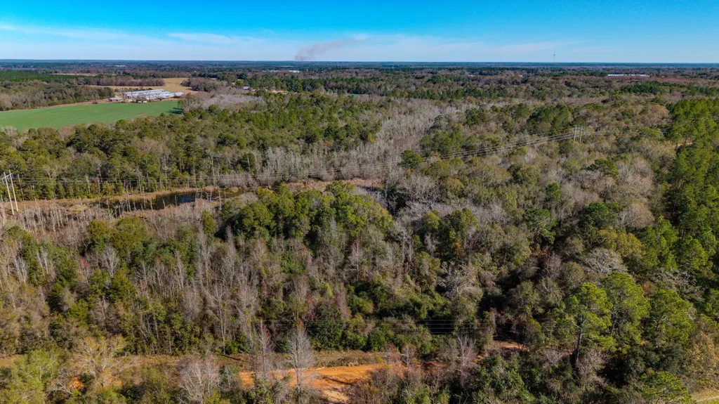 0 Cuthriell Road Samson AL 36477