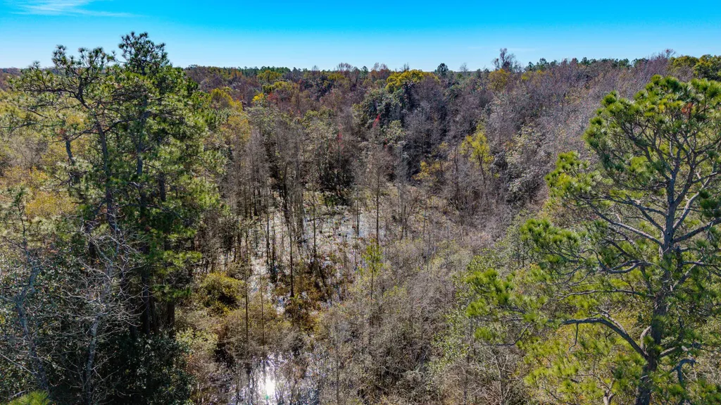 0 Cuthriell Road Samson AL 36477