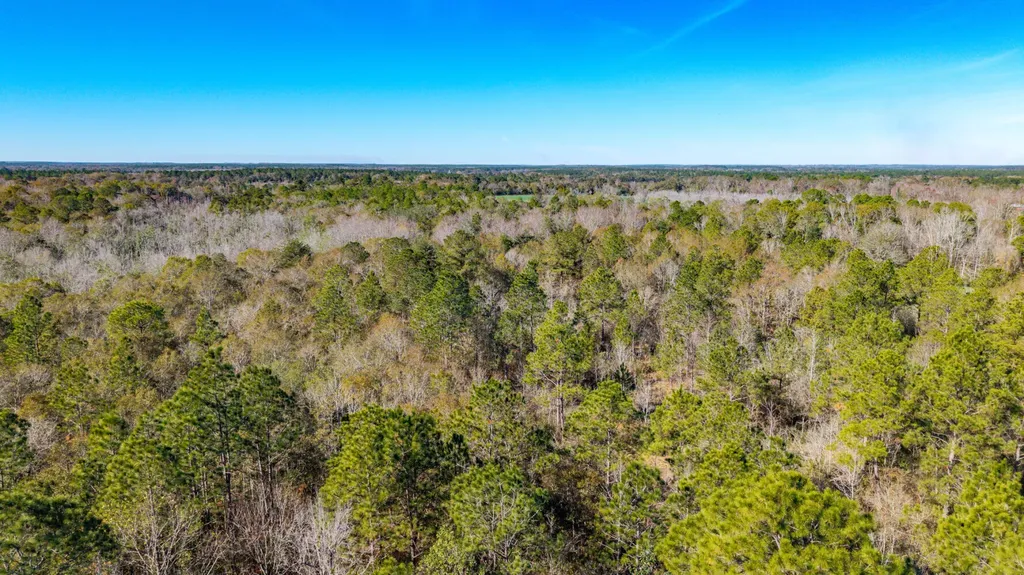 0 Cuthriell Road Samson AL 36477