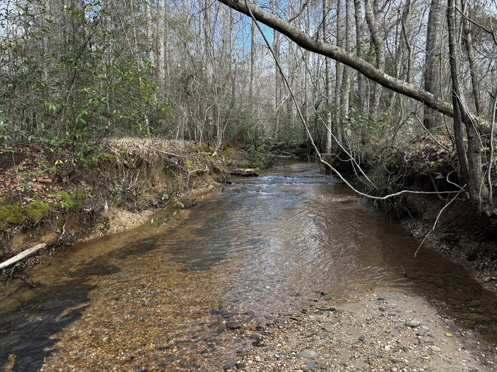 0 County Road 93 Bankston AL 35554