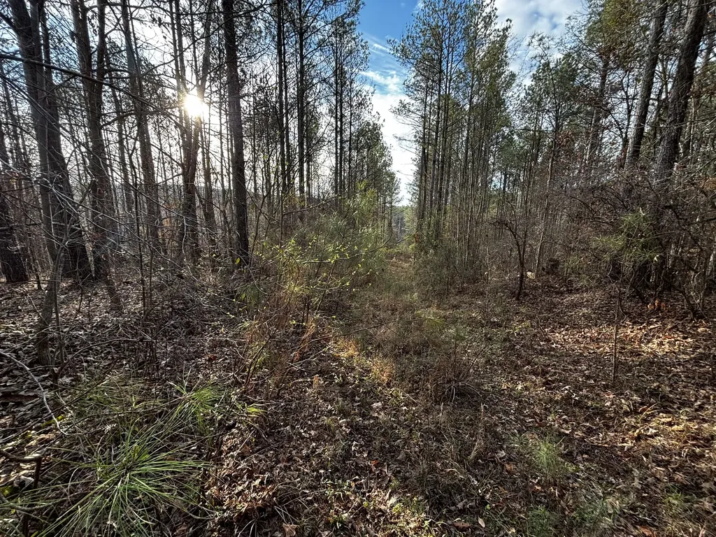 0 County Road 93 Bankston AL 35554
