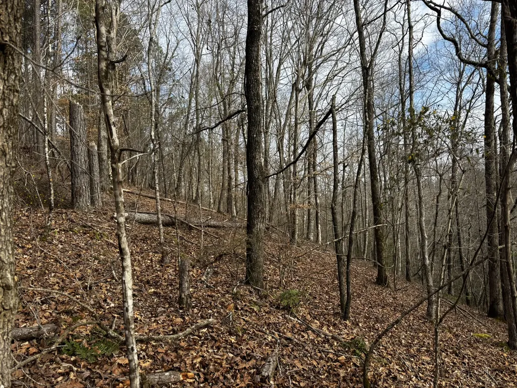 0 County Road 93 Bankston AL 35554