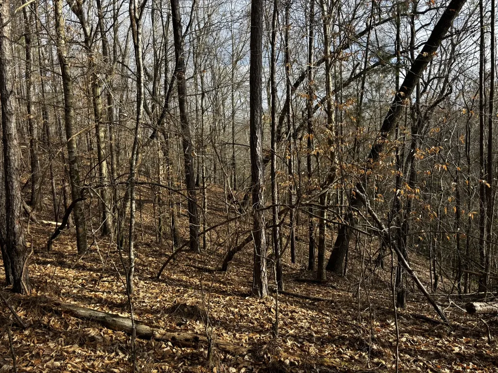 0 County Road 93 Bankston AL 35554