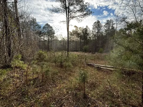 0 County Road 93 Bankston AL 35554