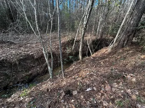0 County Road 93 Bankston AL 35554