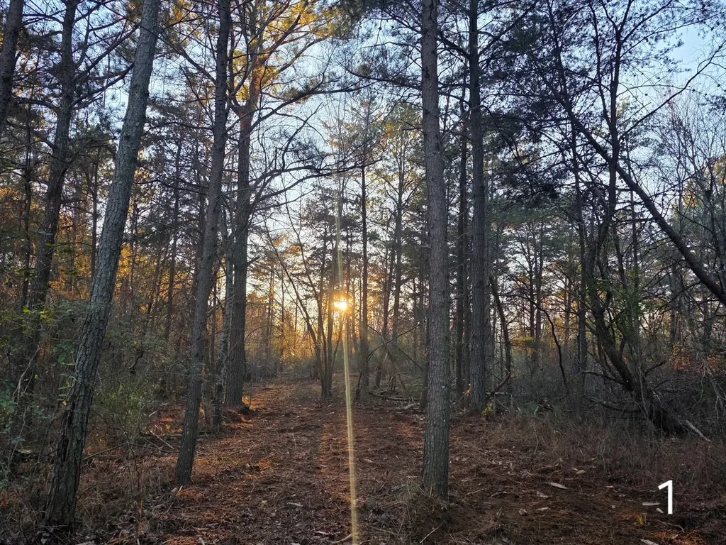 0 County Road 53 Cedar Bluff AL 35959