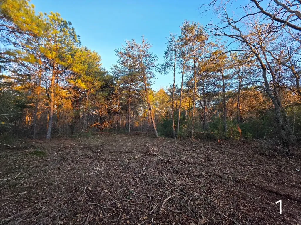 0 County Road 53 Cedar Bluff AL 35959