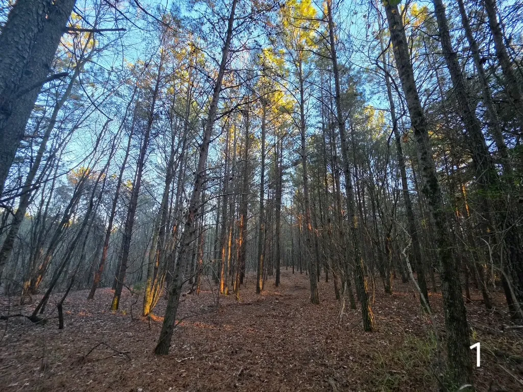 0 County Road 53 Cedar Bluff AL 35959