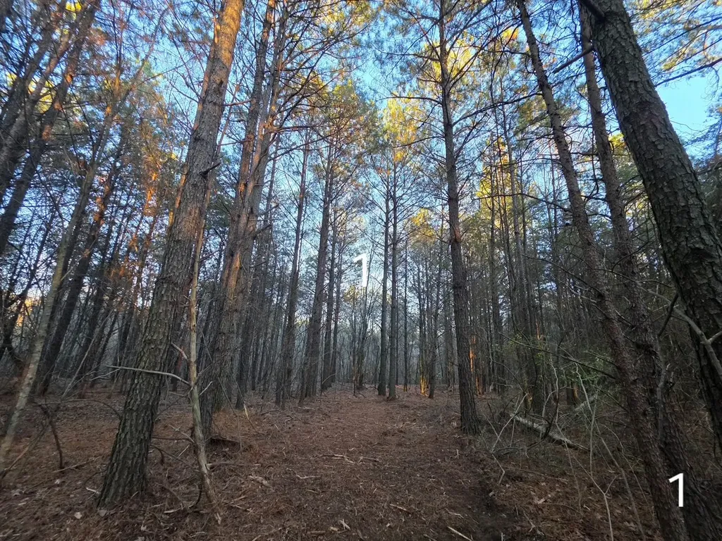 0 County Road 53 Cedar Bluff AL 35959