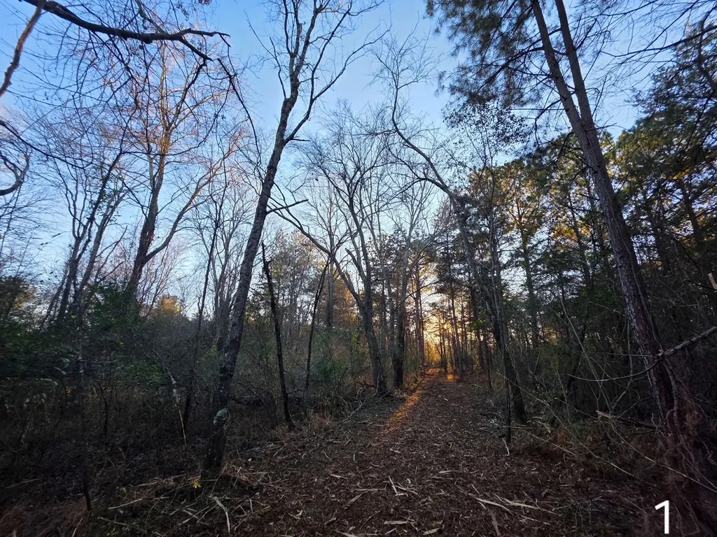 0 County Road 53 Cedar Bluff AL 35959
