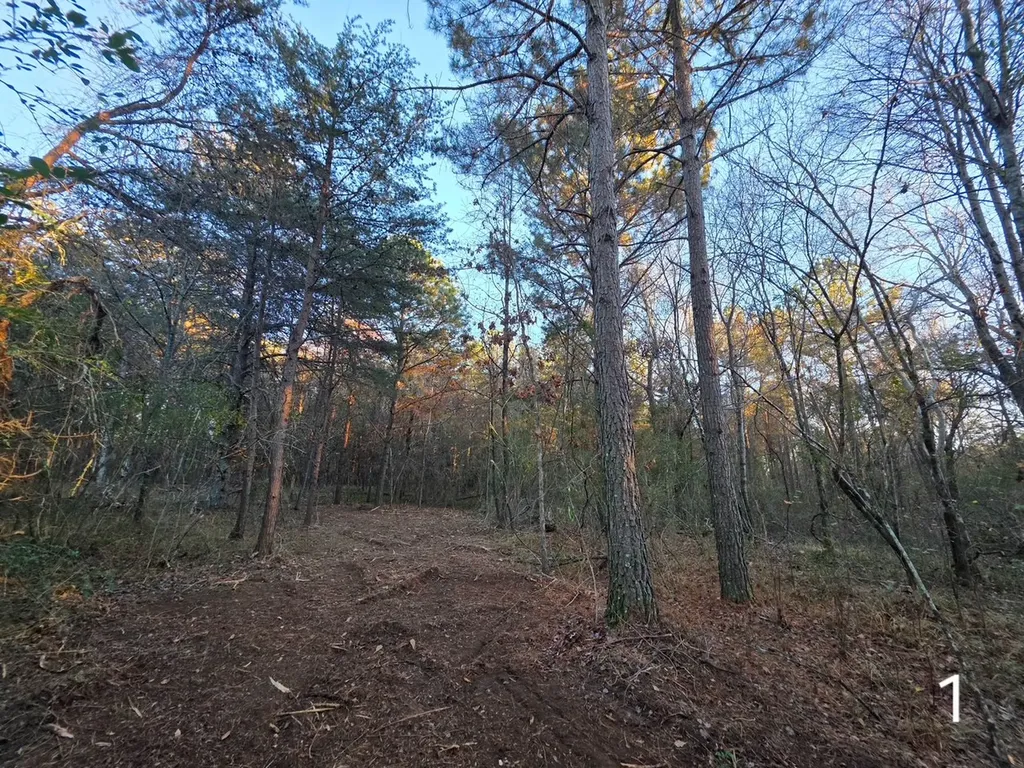 0 County Road 53 Cedar Bluff AL 35959