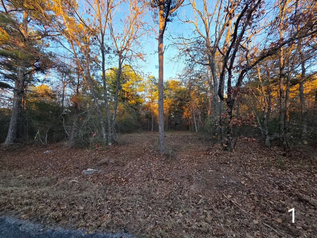 0 County Road 53 Cedar Bluff AL 35959