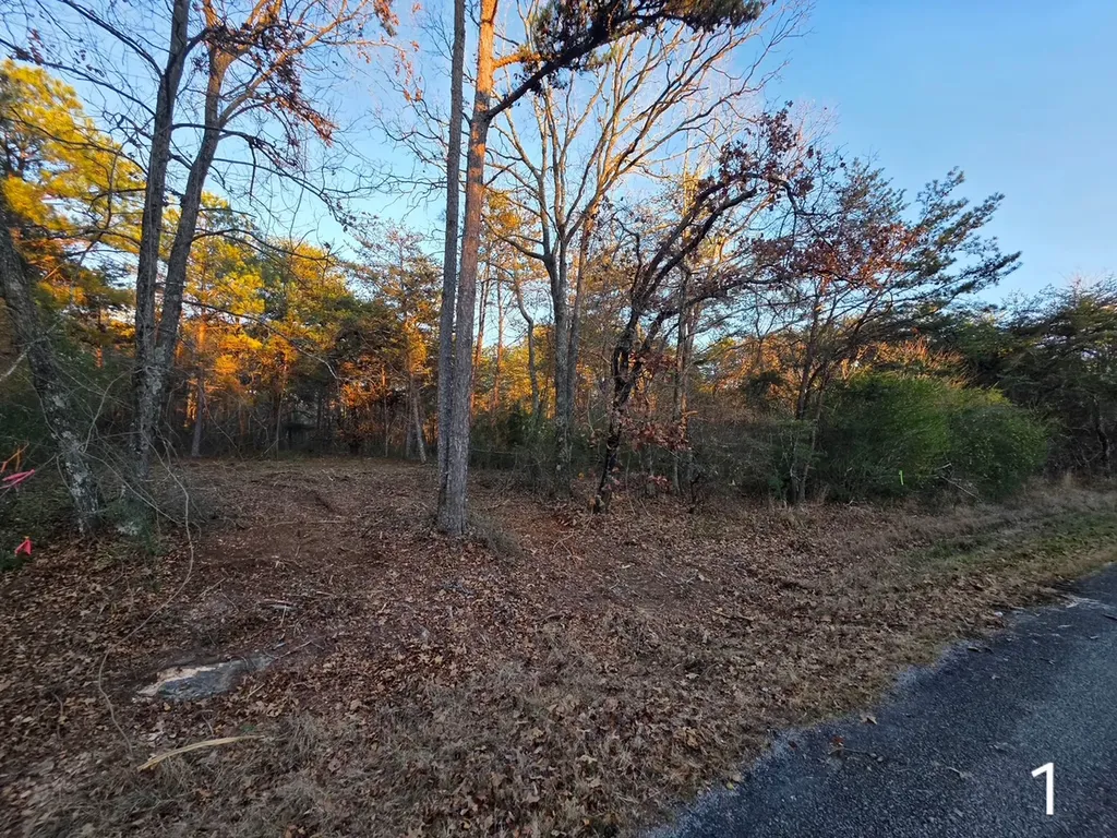 0 County Road 53 Cedar Bluff AL 35959