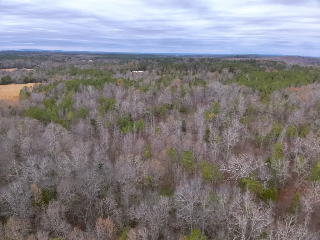 0 Cove Shocco Road Talladega AL 35160