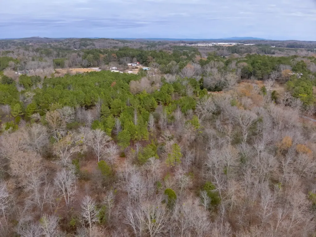 0 Cove Shocco Road Talladega AL 35160