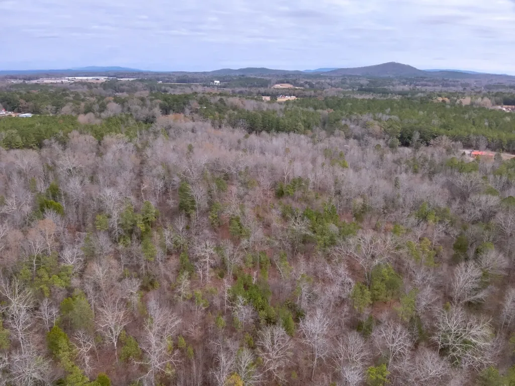 0 Cove Shocco Road Talladega AL 35160