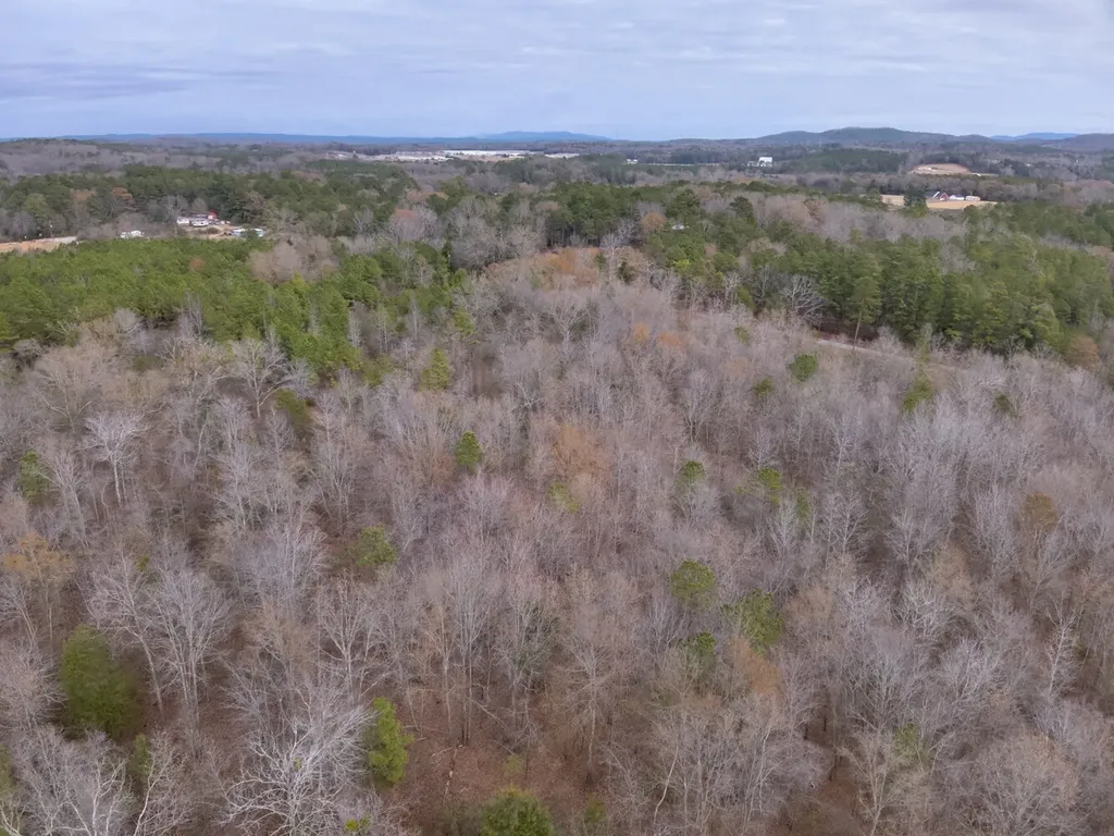 0 Cove Shocco Road Talladega AL 35160
