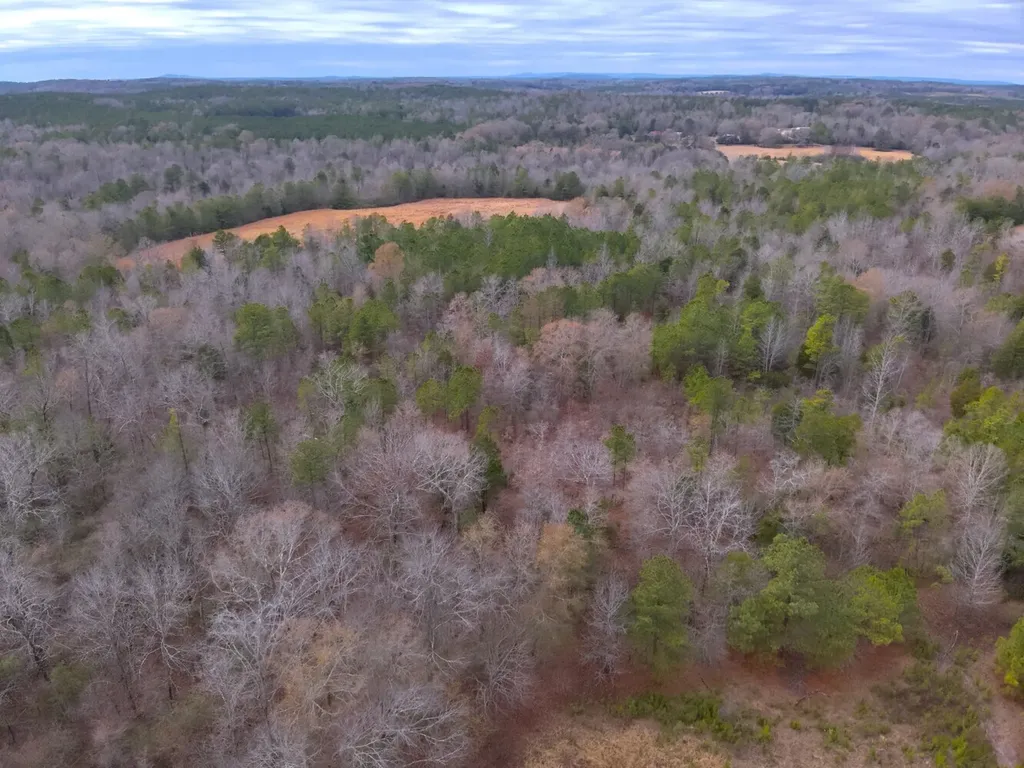 0 Cove Shocco Road Talladega AL 35160