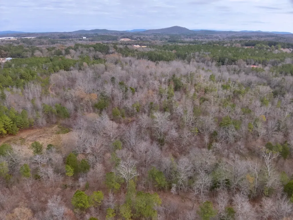 0 Cove Shocco Road Talladega AL 35160