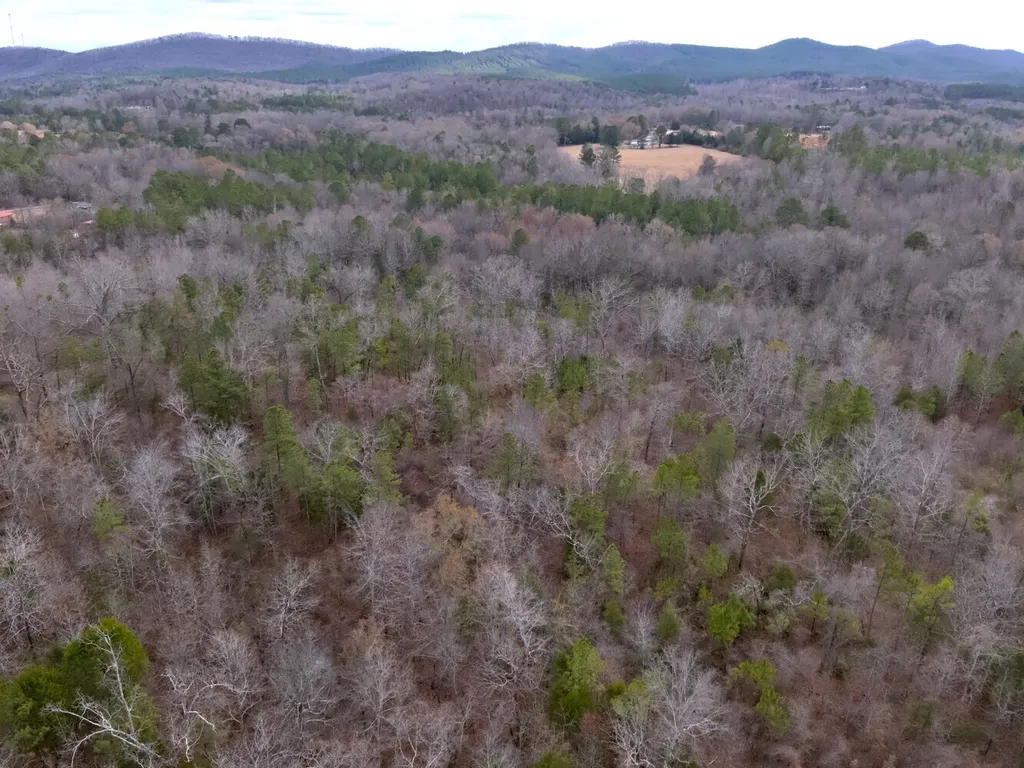 0 Cove Shocco Road Talladega AL 35160